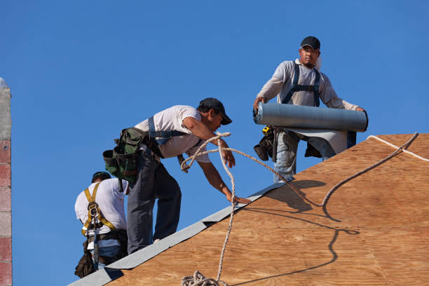 Quick and Trustworthy Emergency Roof Repair Services in Hopkins, MN